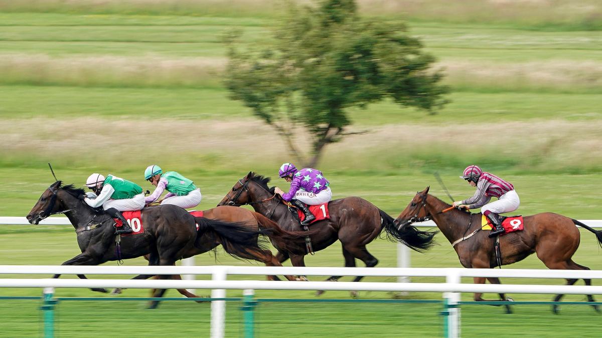 Stewards' Cup Tips: Expect Hurricane Ivor to blow rivals away 